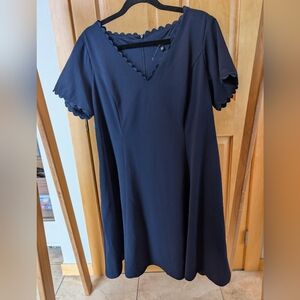 Maggy London Navy Scalloped Mini Dress